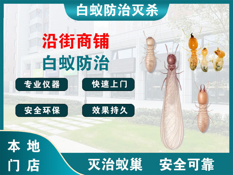 兰溪市沿街商铺白蚁防治