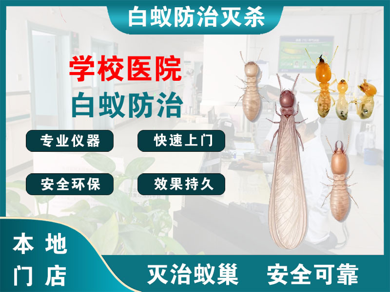 兰溪市学校医院白蚁防治