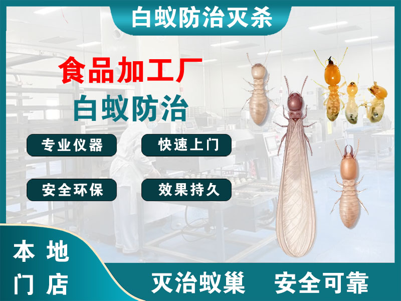 兰溪市食品加工厂白蚁防治
