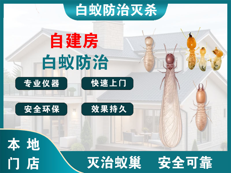 兰溪市自建房白蚁防治
