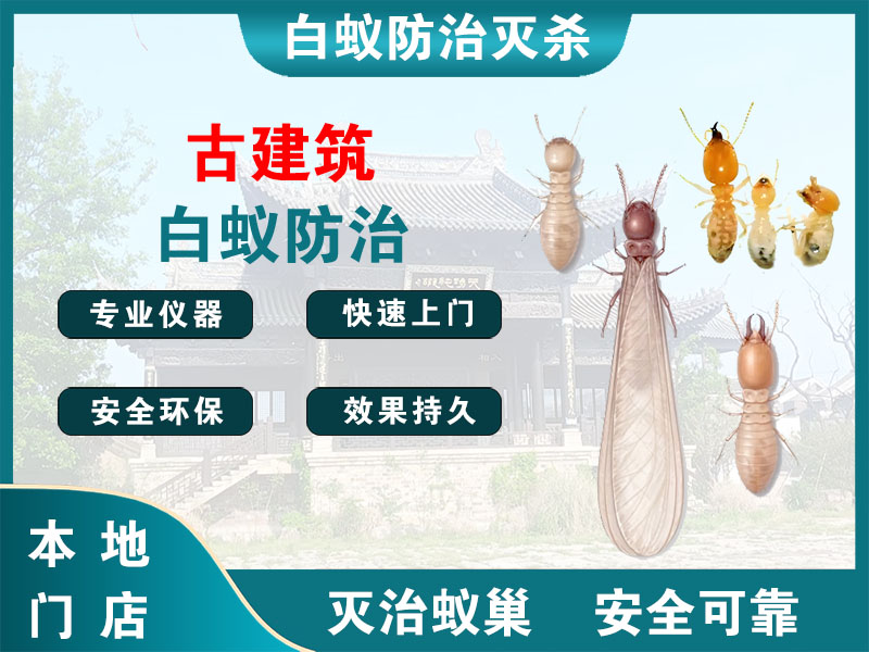 兰溪市古建筑白蚁防治