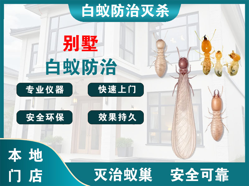 兰溪市别墅白蚁防治