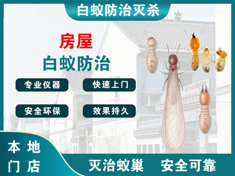 兰溪市房屋白蚁防治